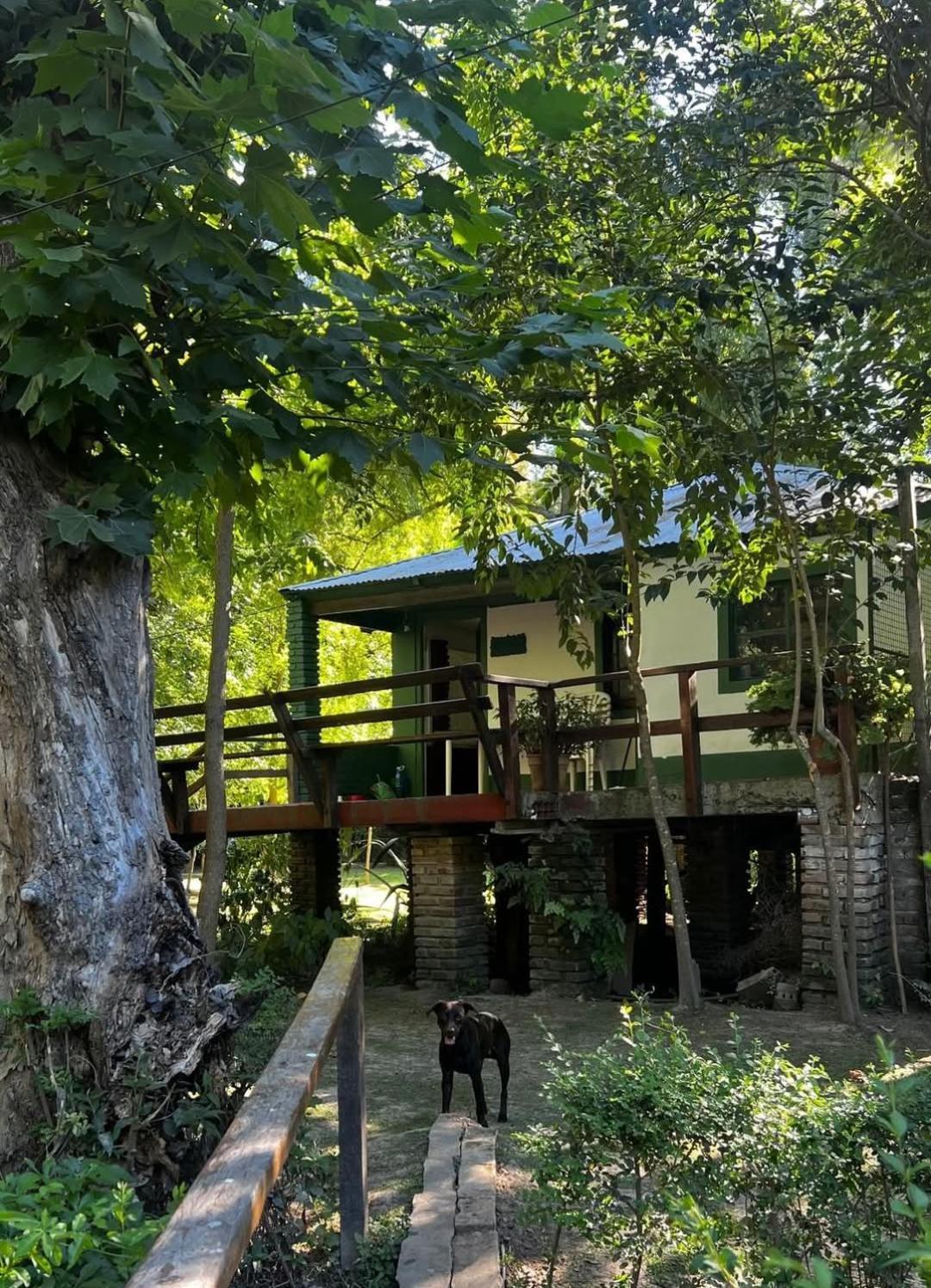 Isla Pupe * Tigre